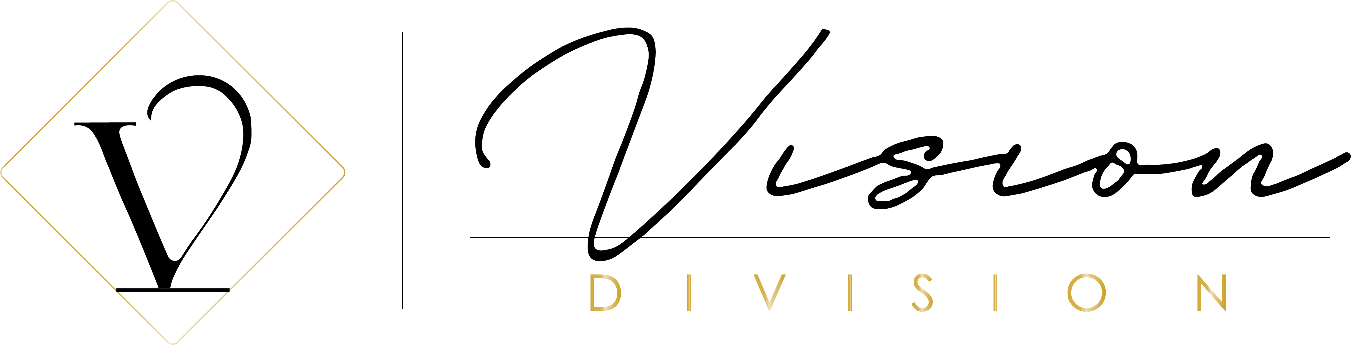 VD logo (png)
